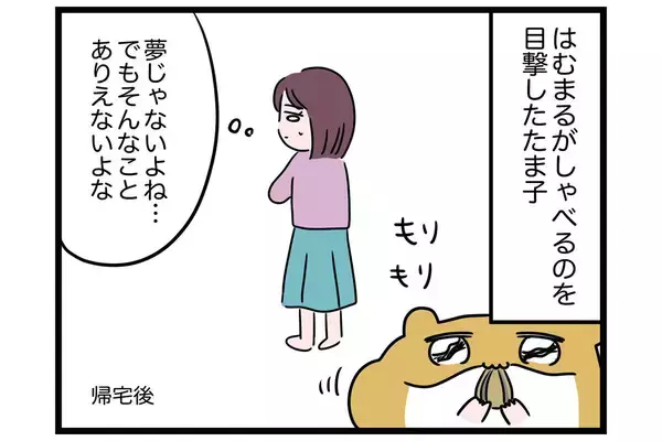 宇宙からやって来た!?【怒りの毛玉戦士はむまる】VS.はむまるは何者？（1）