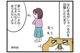 宇宙からやって来た!?【怒りの毛玉戦士はむまる】VS.はむまるは何者？（1）