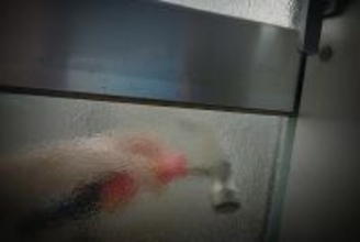 年末年始の帰省で注意！「空き巣」「スリ」「ひったくり」狙われやすい特徴3つ