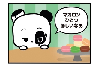 【フランスのパンダ ガドゥ】Épisode 58『食いしん坊のマカロン選び』
