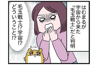 「謎のウイルス」が蔓延!?【怒りの毛玉戦士はむまる】VS.はむまるは何者？（2）