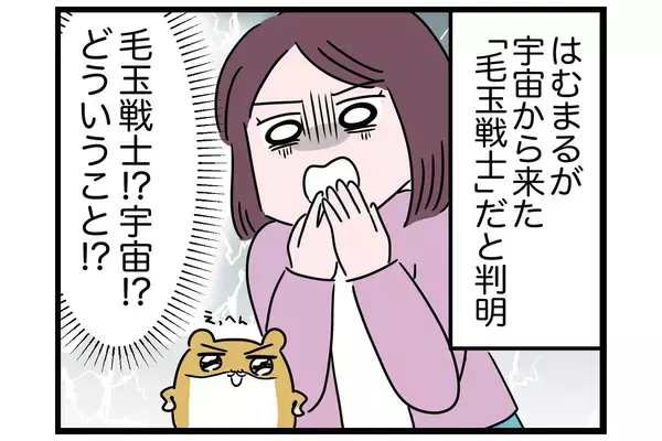 「謎のウイルス」が蔓延!?【怒りの毛玉戦士はむまる】VS.はむまるは何者？（2）