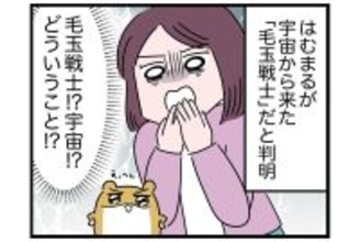 「謎のウイルス」が蔓延!?【怒りの毛玉戦士はむまる】VS.はむまるは何者？（2）