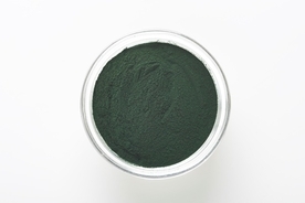 重力ペンキ必要かな 外から見るとまるっと逆さま ロシアにあるトリックアートの家 その中は 19年2月5日 エキサイトニュース