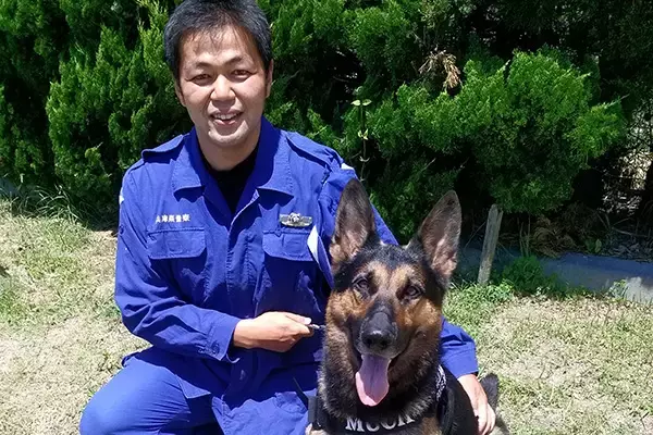 行方不明者を3回見つけた犬も…高齢者“徘徊”救う警察犬