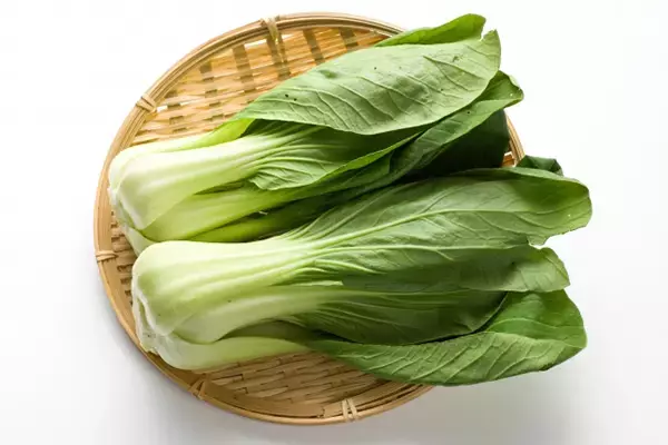 チンゲン菜vs.ほうれん草「疲労回復」にはどっちの食品？