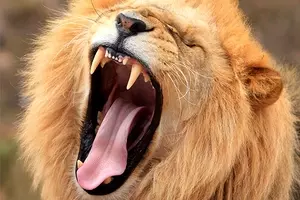 寝酒は逆効果？ 快眠と飲食の重要な関係性 (2013年1月5日) - エキサイトニュース