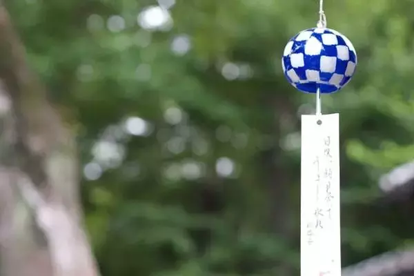 『プレバト!!』夏井いつき先生 不登校生を自宅で熱血指導していた