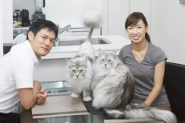 しゃべるねこ しおちゃん 次の言葉は オリンピック 飼い主しんコロさんが語る 14年2月21日 エキサイトニュース