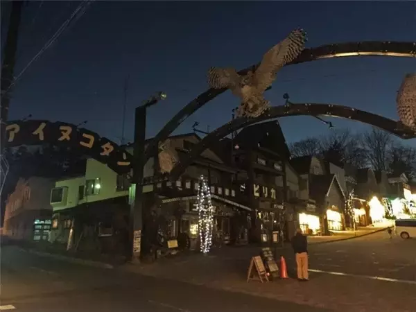 「何故みんなの家に木彫りの熊があったのか」の画像