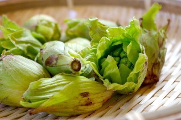 春の山菜 ふきのとう の食べ方 長期保存は ふき味噌 で 18年3月21日 エキサイトニュース 春の山菜 ふきのとう の食べ方 長期保存は ふき味噌 で 18年3月21日 エキサイトニュース