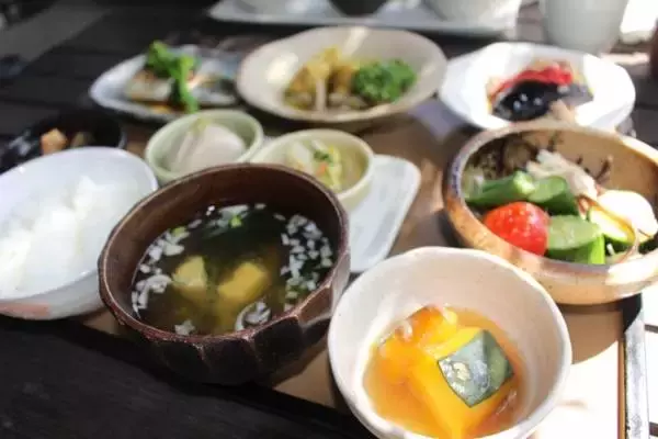 不調引き起こす“おなかのカビ”を増やさない食事のポイント