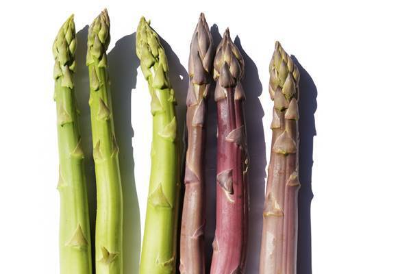 アスパラ占いは超当たる 人に話したくなるアスパラガスの小話 18年5月16日 エキサイトニュース アスパラ占いは超当たる 人に話したくなるアスパラガスの小話 18年5月16日 エキサイトニュース