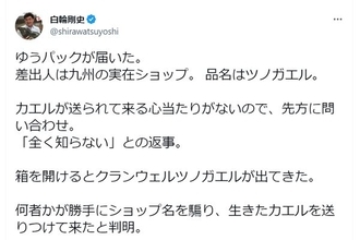 飼育放棄されたカエルが突然届いた…受け取った動物園の園長が憤り「最後の責任として自分で届けて」