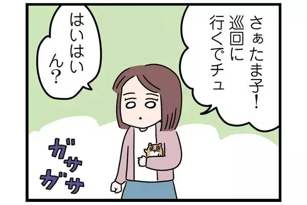 うちのゴミが晒されてる!?【怒りの毛玉戦士はむまる】VS.ゴミ漁りおばさん（1）