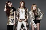 「“最後のステージ”になるかも…2NE1・DARAインタビュー　12月来日ライブで「物語を完成させる」」の画像1