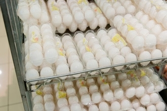 《過去最高値を更新！》「今のところ価格据え置きでやっているんで」テリー伊藤の実家・玉子焼店が迫られる「価格改定」への苦渋決断