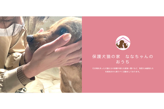 犬猫39匹を虐待の動物愛護団体の代表　うるささにガラスを割りに来た人も…10年前から目撃されていた「多頭飼育の崩壊」