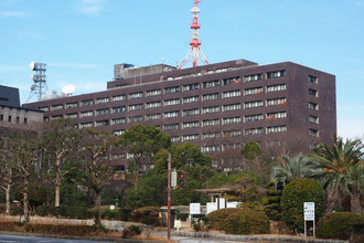 “健康”長寿県・三重と山梨に学ぶ「死ぬ直前まで健康でいるコツ」