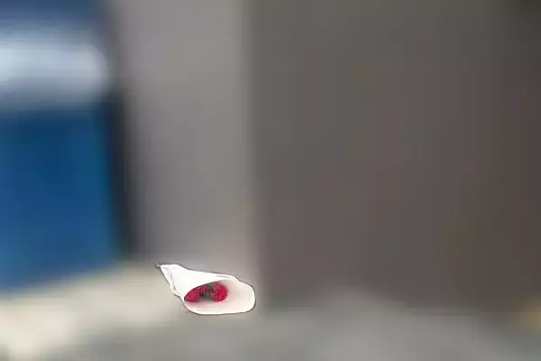 「甲斐甲斐しい感じだったけど…」28歳母親が親権巡り生後3カ月の娘を殺害容疑…近隣住民が明かす“夫婦生活”