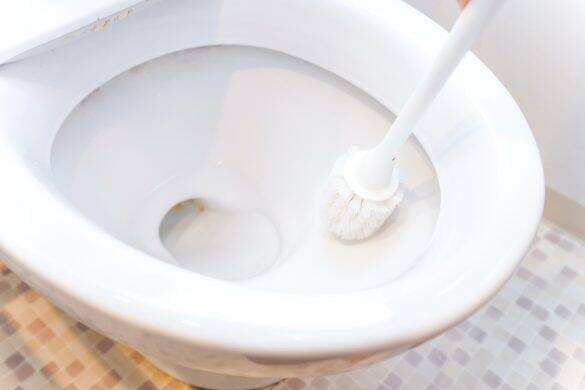 トイレ掃除を頼むと涙目…新人バイトはオーナー親族のお嬢様。いきなり辞めたが、意外な展開に／びっくり体験人気記事