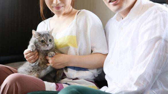 バッグをボロボロにされ、靴の上にうんこ…彼氏の猫に嫌われてた私。最悪の仲から「仲良くなれた」意外なきっかけは