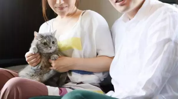 「バッグをボロボロにされ、靴の上にうんこ…彼氏の猫に嫌われてた私。最悪の仲から「仲良くなれた」意外なきっかけは」の画像