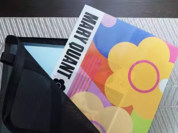 「気づいたら“クリアファイルだらけ”で書類が行方不明になる問題→無印良品アイテムで解決！」の画像