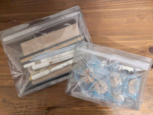 何度も開け閉めしたくなる！ ダイソーの“新感覚ジップバッグ”が想像以上。スーッと閉まる「快適すぎる使い心地」