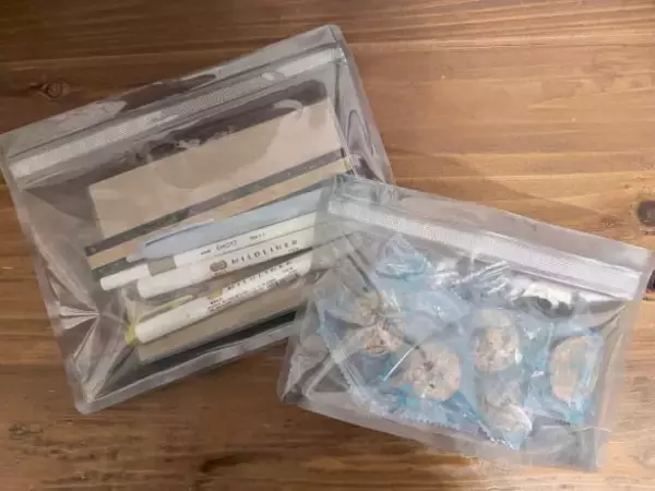 「何度も開け閉めしたくなる！ ダイソーの“新感覚ジップバッグ”が想像以上。スーッと閉まる「快適すぎる使い心地」」の画像