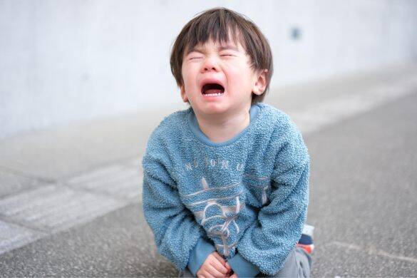 5歳の息子がご近所さんの車にキズを…→謝罪に行ったら“まさかの対応”「旦那の階級を言え！」って何事!?／2025 人気記事top5