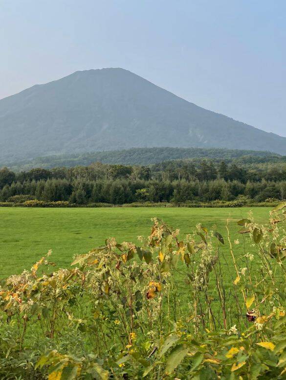 「ごきげんよう」に「朝ズバ」…40歳・元TBSアナが地元北海道で実感した、平成テレビの“共通言語”
