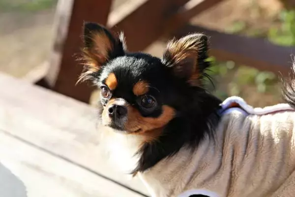 「義実家への帰省中、文句も言わず完璧に手伝ってきた私。偶然聞こえてきた義母の本音に大ショック／2024人気記事top5／義実家・家族記事BEST5」の画像