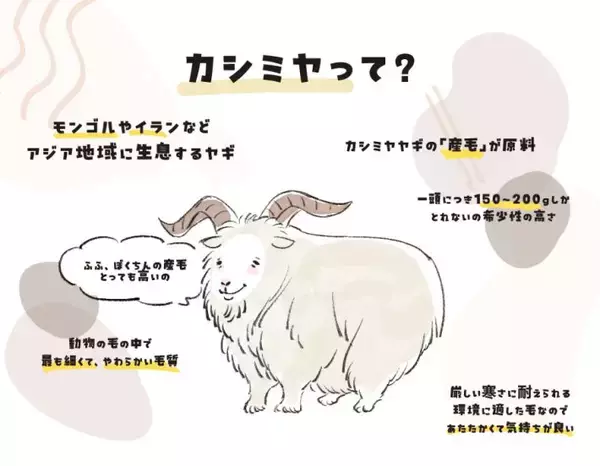 カシミヤ100％、カシミヤタッチ…何が違う？ 意外と知らない“カシミヤ表示”の真実と、“損しない選び方”