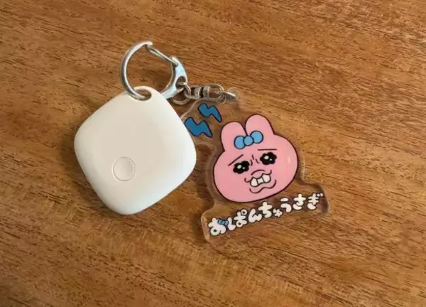「もう出がけに「鍵がない！」と焦らない。ダイソーで1000円の“紛失防止タグ”、買ってみたら快適すぎた」の画像
