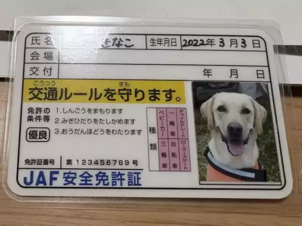 「めっちゃ可愛い！」「よく見ると…」JAFに作ってもらえる“ワンちゃんの免許証”が最高。JAF広報に詳しく聞いてみると
