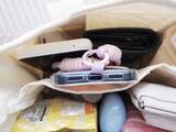 「ダイソーで買った330円トートを開いてビックリ！荷物の定位置が決まる“天才設計”とは」の画像10