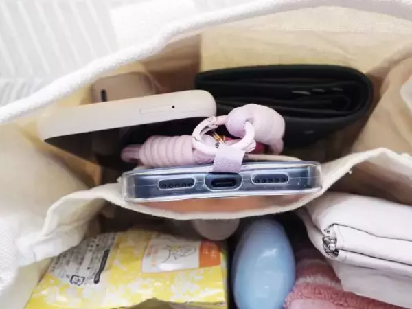 「ダイソーで買った330円トートを開いてビックリ！荷物の定位置が決まる“天才設計”とは」の画像
