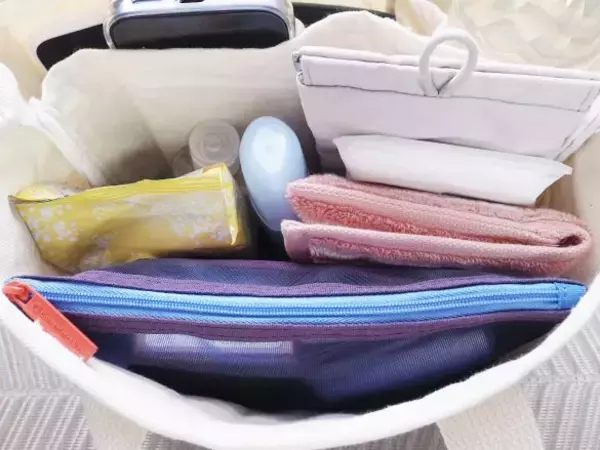 「ダイソーで買った330円トートを開いてビックリ！荷物の定位置が決まる“天才設計”とは」の画像