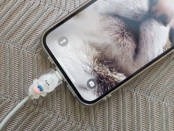 “スマホの充電器すぐ壊れる”問題→ダイソー100円アイテムで解決！「可愛すぎてリピ買いしてる」
