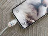 「“スマホの充電器すぐ壊れる”問題→ダイソー100円アイテムで解決！「可愛すぎてリピ買いしてる」」の画像10