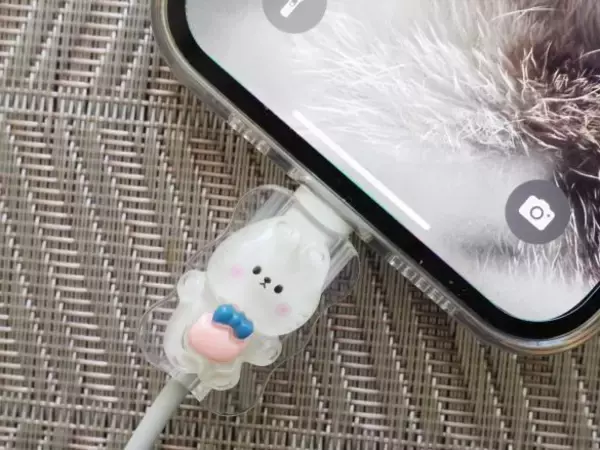 「“スマホの充電器すぐ壊れる”問題→ダイソー100円アイテムで解決！「可愛すぎてリピ買いしてる」」の画像
