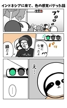茶トラ猫は「黄色猫」!? バリ島在住14年で驚いた日本との違い。物価も急上昇、マルボロは4倍、生活費は月3万→17万円に＜漫画＞