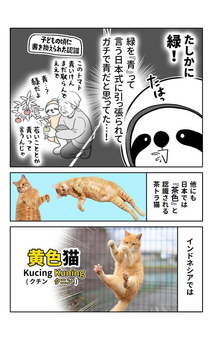 茶トラ猫は「黄色猫」!? バリ島在住14年で驚いた日本との違い。物価も急上昇、マルボロは4倍、生活費は月3万→17万円に＜漫画＞