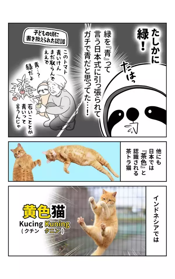 「茶トラ猫は「黄色猫」!? バリ島在住14年で驚いた日本との違い。物価も急上昇、マルボロは4倍、生活費は月3万→17万円に＜漫画＞」の画像
