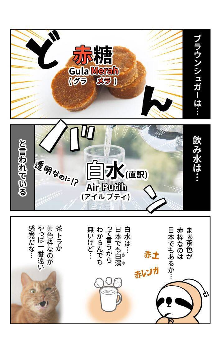 茶トラ猫は「黄色猫」!? バリ島在住14年で驚いた日本との違い。物価も急上昇、マルボロは4倍、生活費は月3万→17万円に＜漫画＞