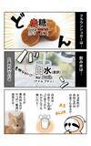 「茶トラ猫は「黄色猫」!? バリ島在住14年で驚いた日本との違い。物価も急上昇、マルボロは4倍、生活費は月3万→17万円に＜漫画＞」の画像3