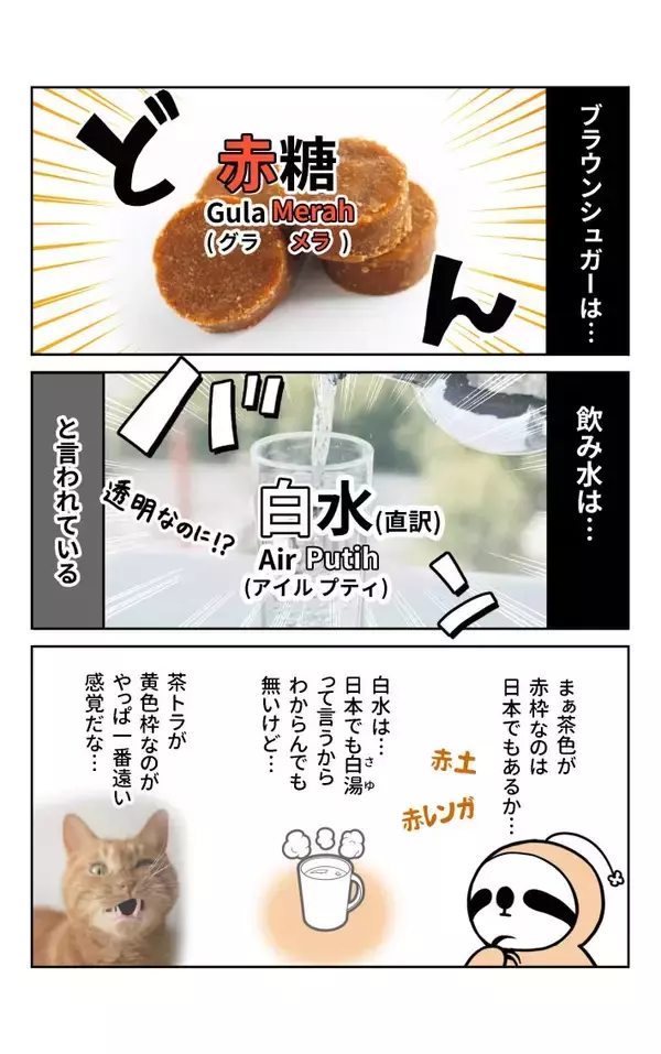 「茶トラ猫は「黄色猫」!? バリ島在住14年で驚いた日本との違い。物価も急上昇、マルボロは4倍、生活費は月3万→17万円に＜漫画＞」の画像