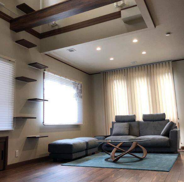 「生計を立てるのは無理がある」“猫の希少種”専門ブリーダーが明かす実情。悪徳ブリーダーへの憤りも