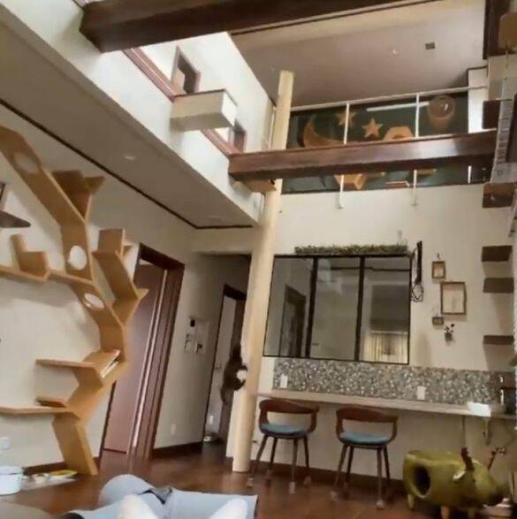 「生計を立てるのは無理がある」“猫の希少種”専門ブリーダーが明かす実情。悪徳ブリーダーへの憤りも